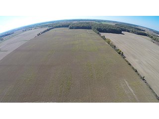 Tract 17 - LAND & REAL ESTATE AUCTION, 450+/- Acres offered in 17 Tracts of Highly Productive, Tillable Crop Land